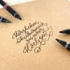SchneiderRollerBallPenBlue